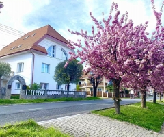 Amadeus Villa
